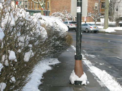 Shrubs blocking the sidewalk on Beekman Ave, just west of Broadway