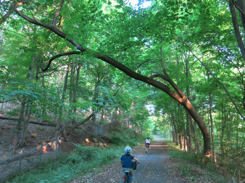 Two people riding on a shady trail.